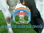 VIDEO AZIENDALE LATTE MARINI